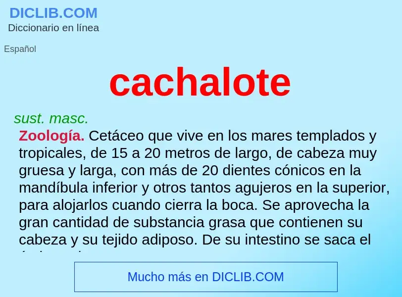 ¿Qué es cachalote? - significado y definición