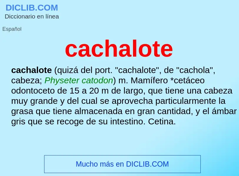 ¿Qué es cachalote? - significado y definición