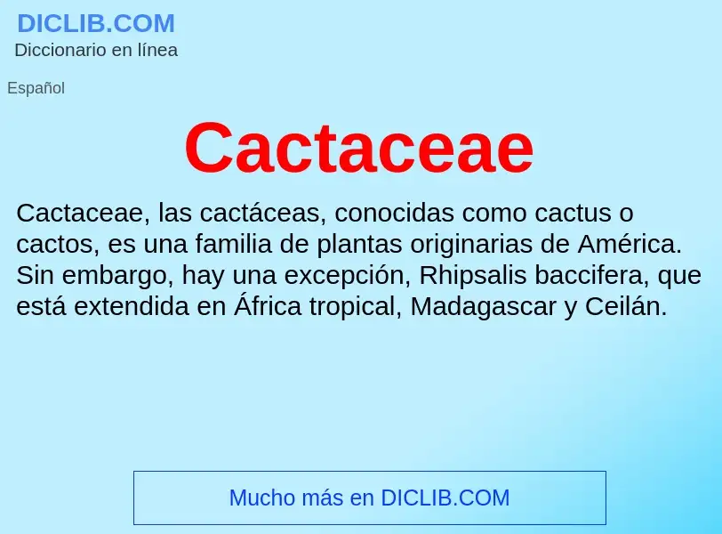 O que é Cactaceae - definição, significado, conceito