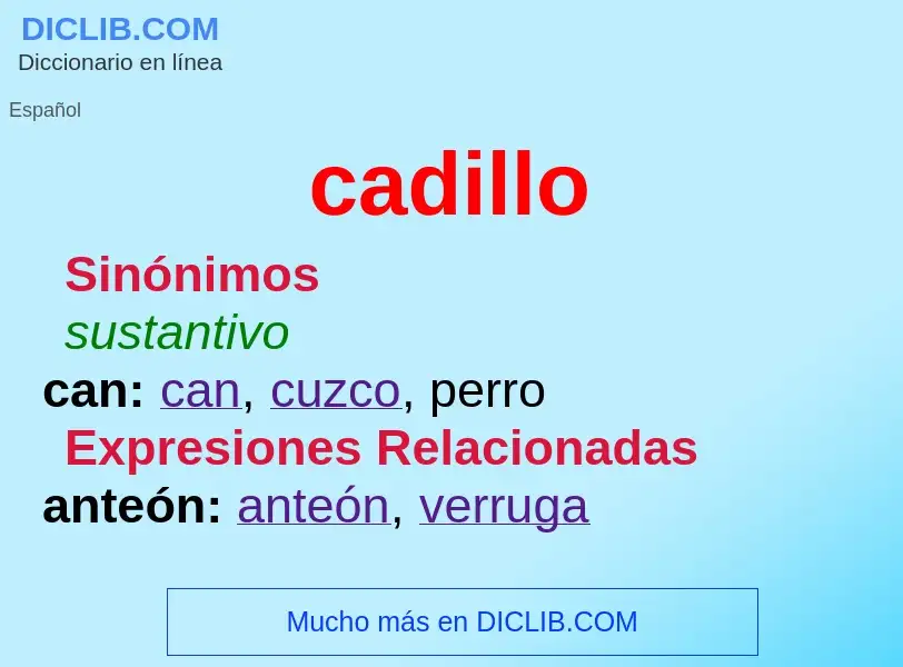 What is cadillo - meaning and definition