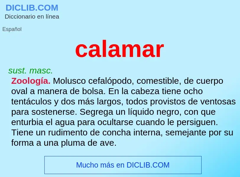 ¿Qué es calamar? - significado y definición