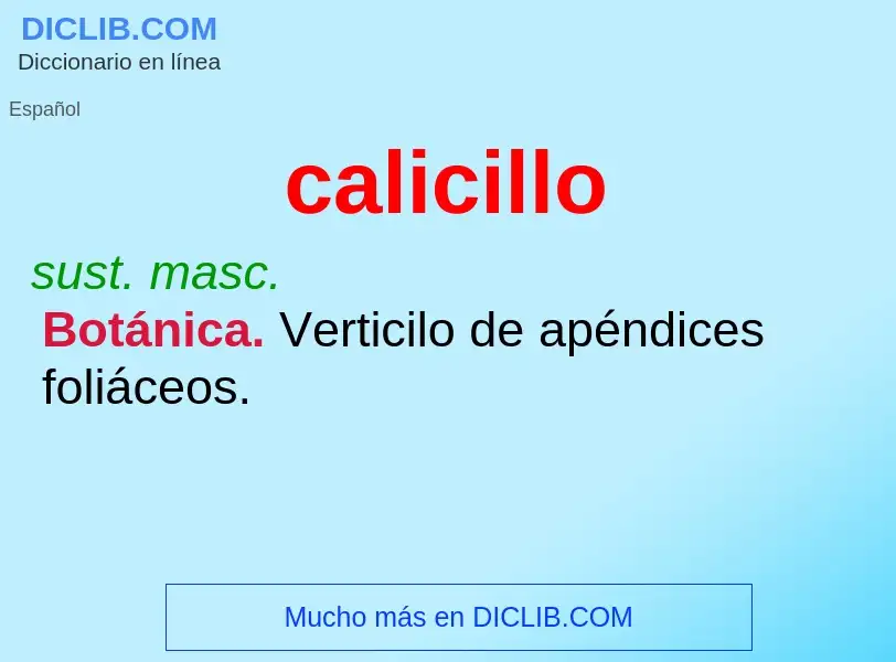 ¿Qué es calicillo? - significado y definición