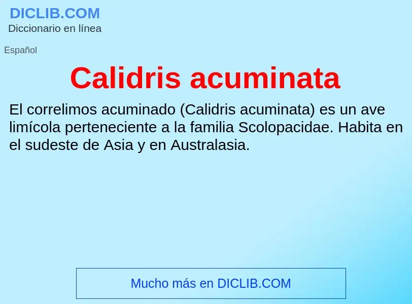 What is Calidris acuminata - meaning and definition