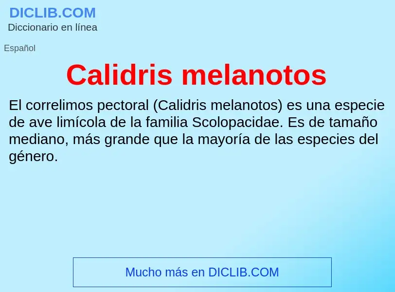 ¿Qué es Calidris melanotos? - significado y definición