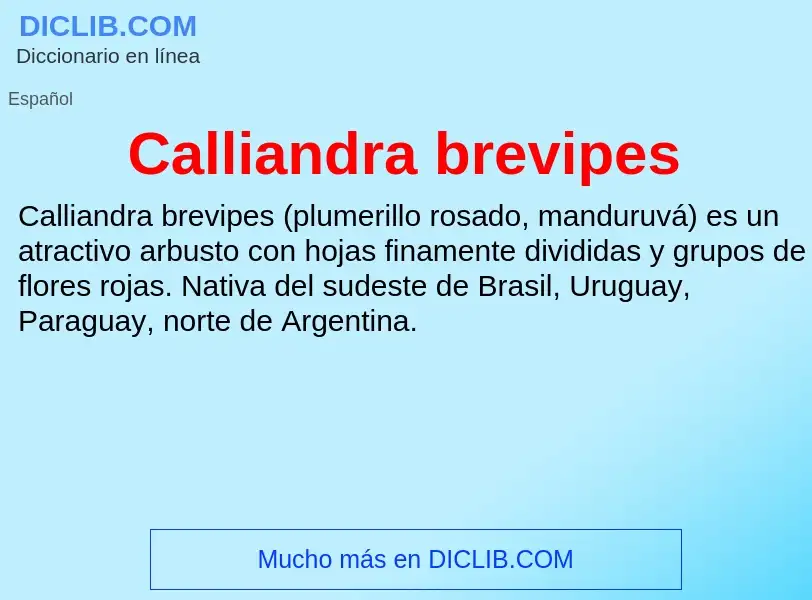 ¿Qué es Calliandra brevipes? - significado y definición