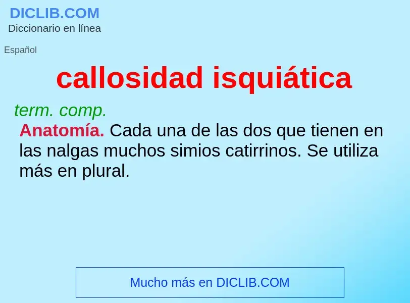 What is callosidad isquiática - definition