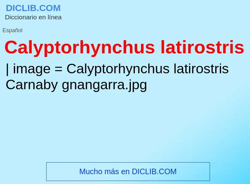 Τι είναι Calyptorhynchus latirostris - ορισμός