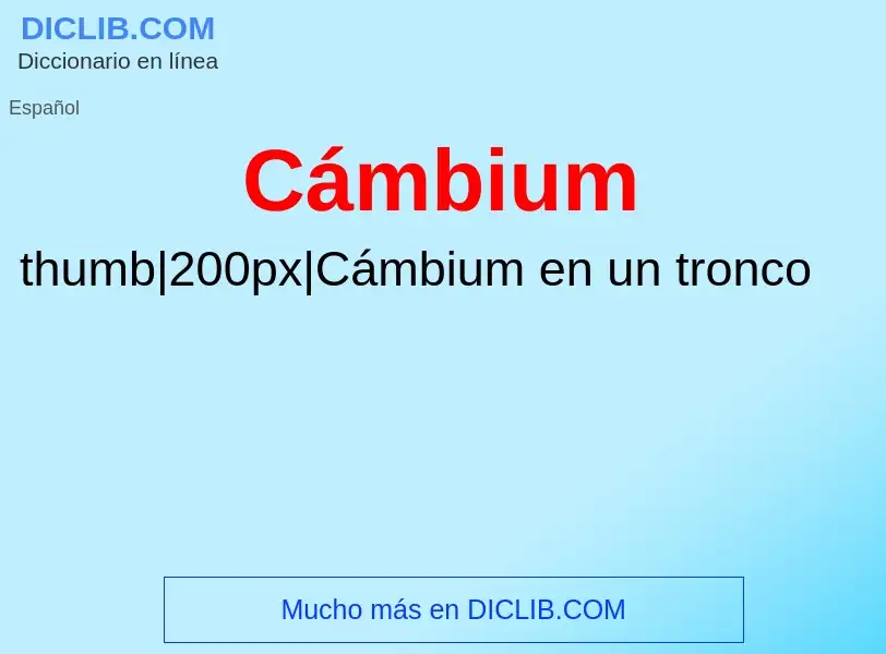 ¿Qué es Cámbium? - significado y definición