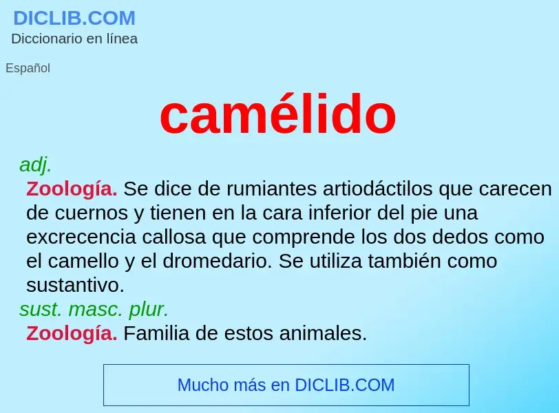 ¿Qué es camélido? - significado y definición