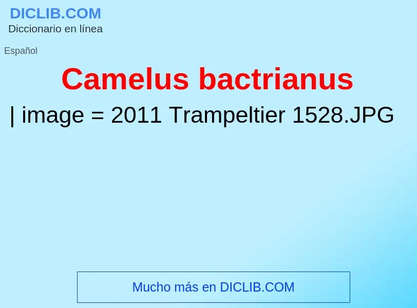 Что такое Camelus bactrianus - определение