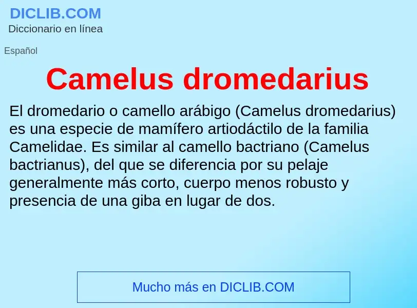 ¿Qué es Camelus dromedarius? - significado y definición