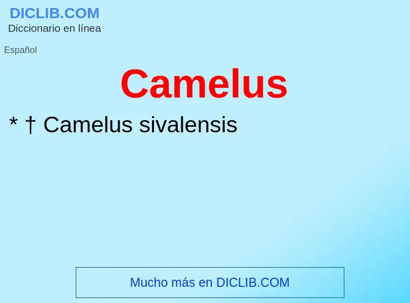 Что такое Camelus - определение