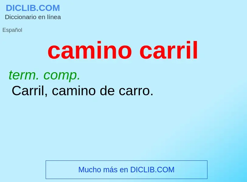 Was ist camino carril - Definition