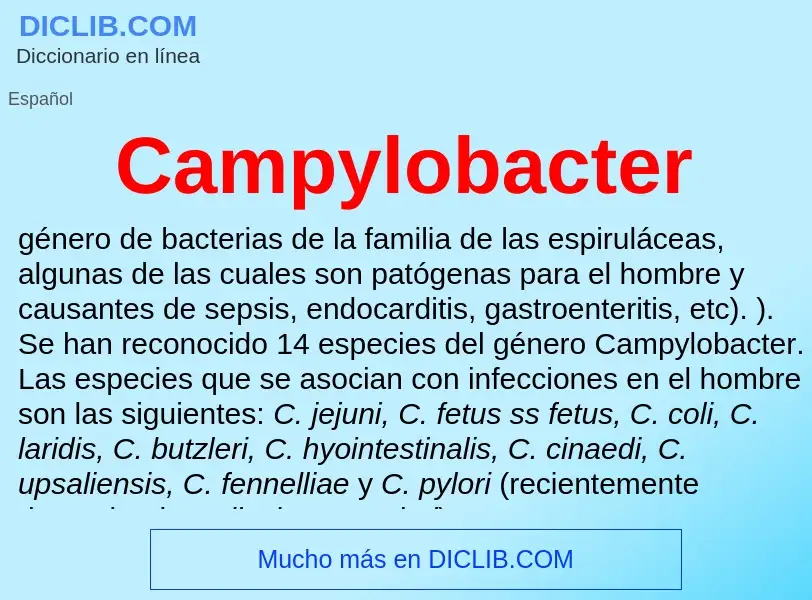 ¿Qué es Campylobacter? - significado y definición