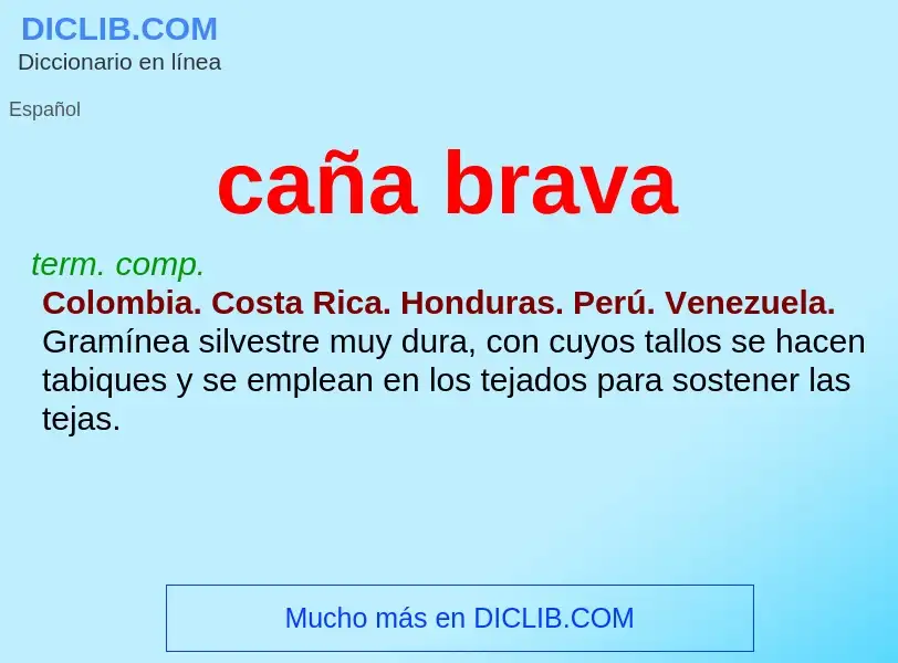 Wat is caña brava - definition