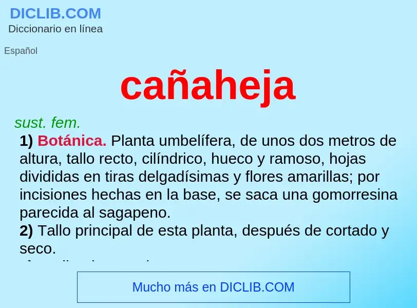 ¿Qué es cañaheja? - significado y definición