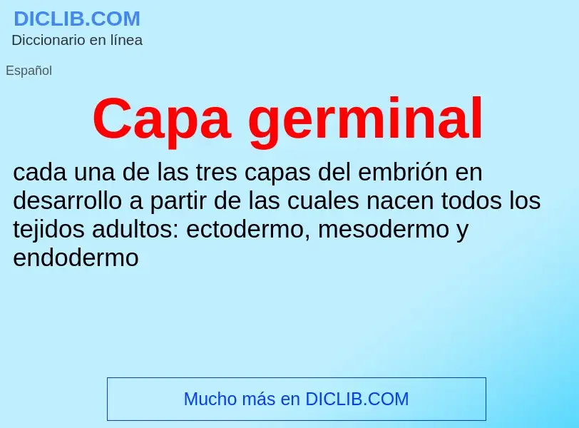 ¿Qué es Capa germinal? - significado y definición