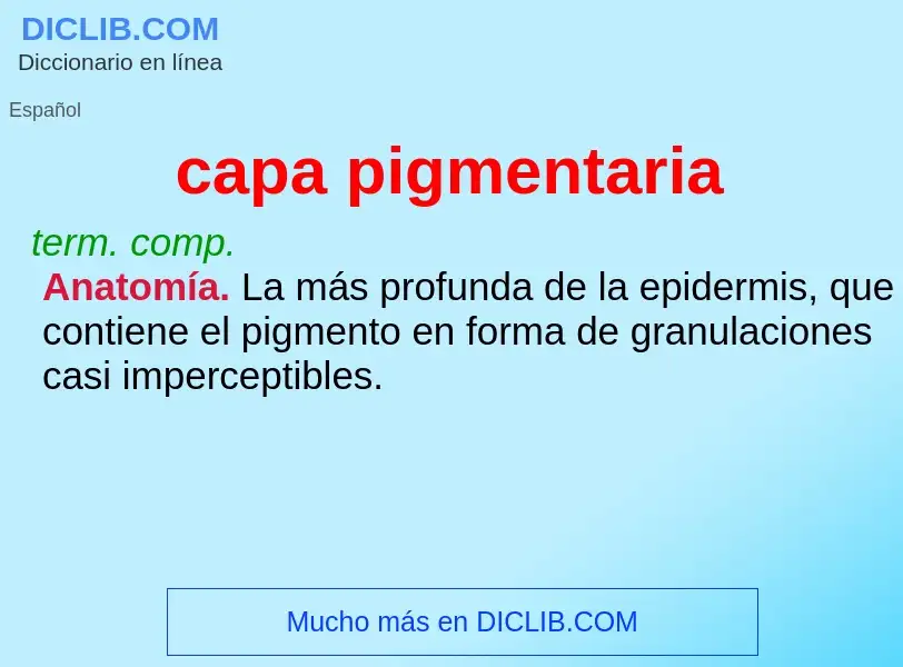 What is capa pigmentaria - definition