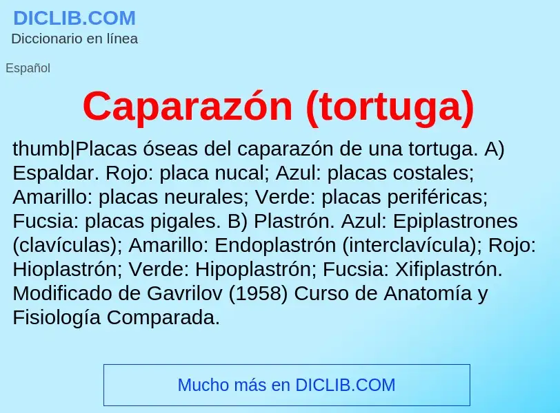 Wat is Caparazón (tortuga) - definition