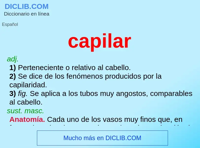 What is capilar - meaning and definition