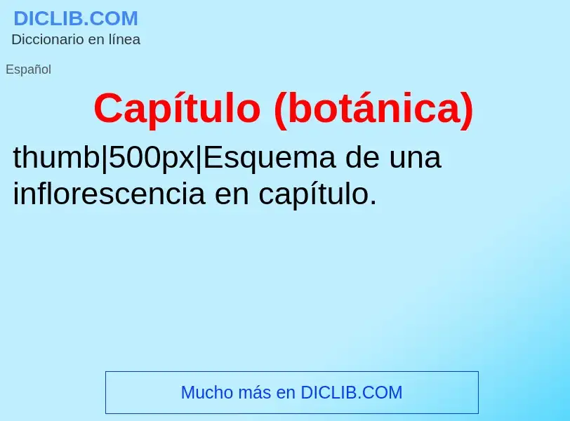 What is Capítulo (botánica) - meaning and definition