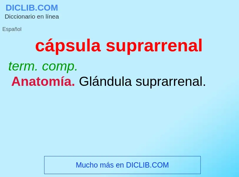 ¿Qué es cápsula suprarrenal? - significado y definición