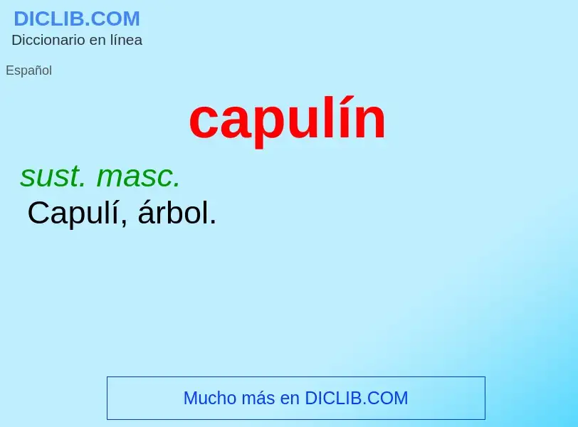 Wat is capulín - definition