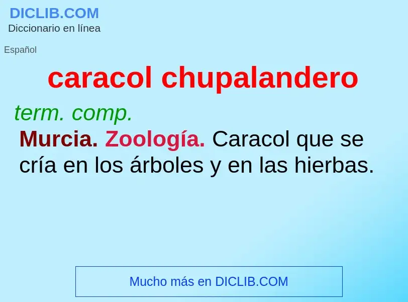 O que é caracol chupalandero - definição, significado, conceito