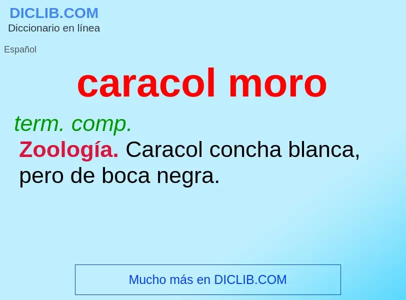 What is caracol moro - meaning and definition