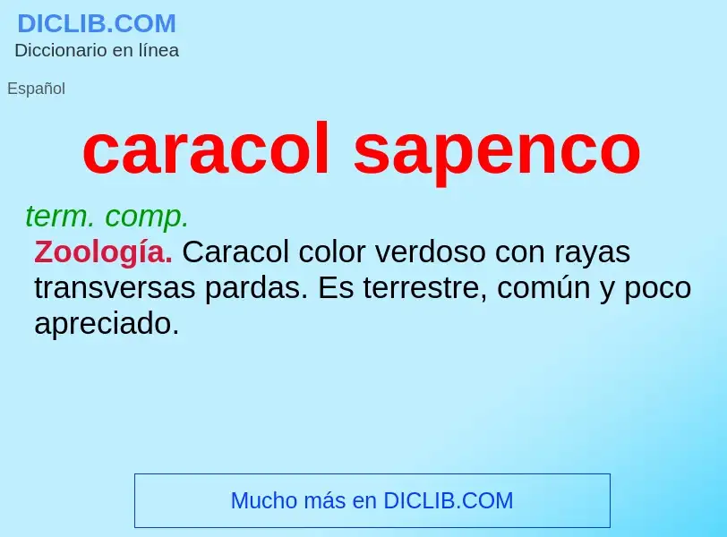 Wat is caracol sapenco - definition