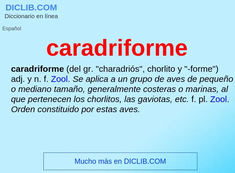 O que é caradriforme - definição, significado, conceito