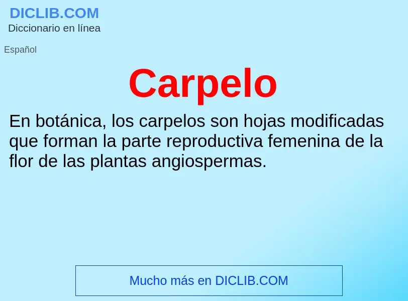 ¿Qué es Carpelo? - significado y definición