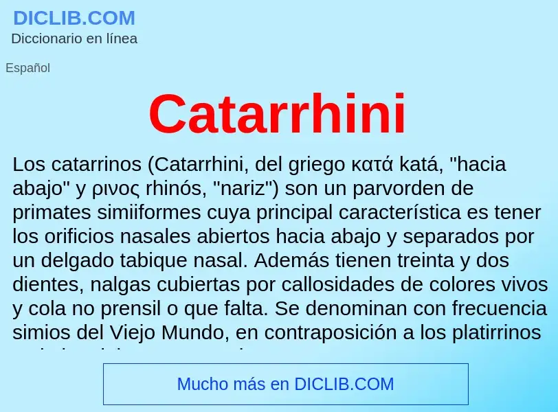 ¿Qué es Catarrhini? - significado y definición