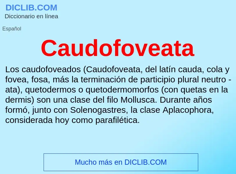 ¿Qué es Caudofoveata? - significado y definición