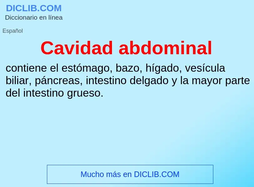 O que é Cavidad abdominal - definição, significado, conceito