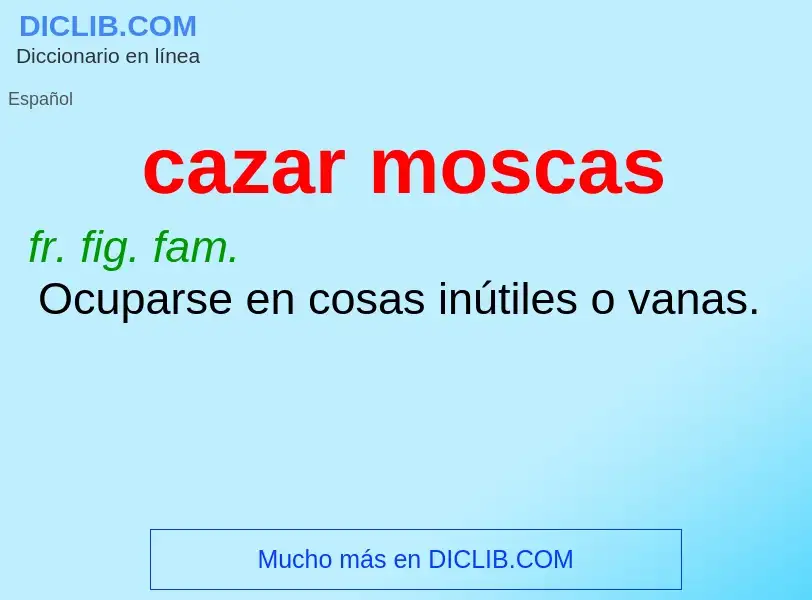 Was ist cazar moscas - Definition