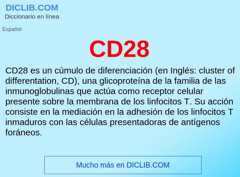 Was ist CD28 - Definition