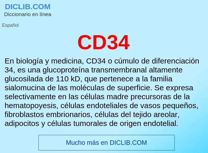 Was ist CD34 - Definition