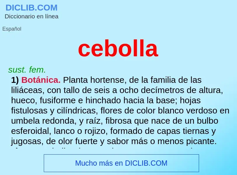 O que é cebolla - definição, significado, conceito