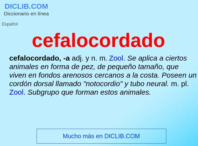 ¿Qué es cefalocordado? - significado y definición