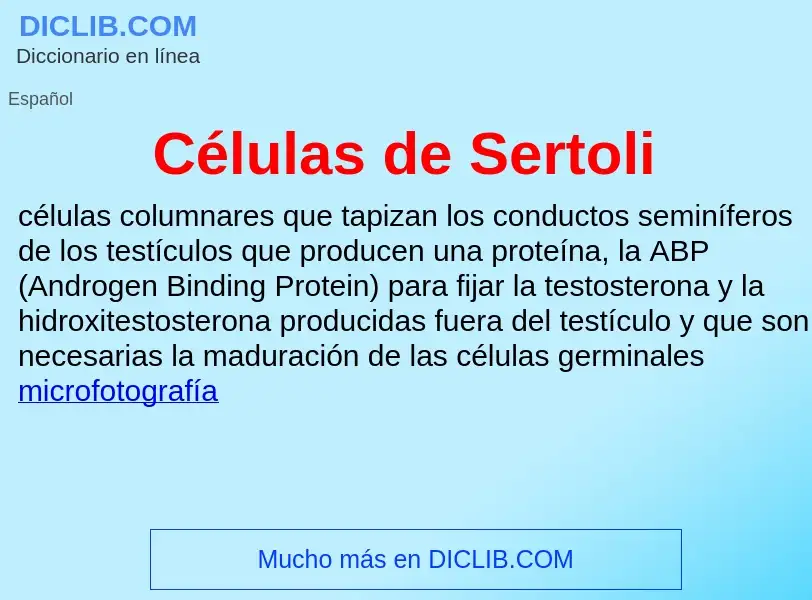 ¿Qué es Células de Sertoli? - significado y definición