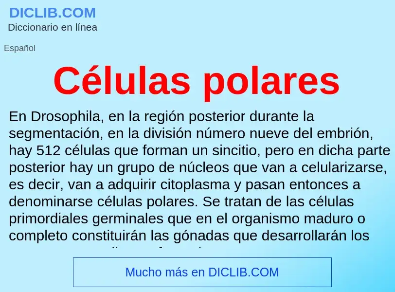 ¿Qué es Células polares? - significado y definición