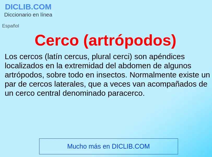 What is Cerco (artrópodos) - meaning and definition