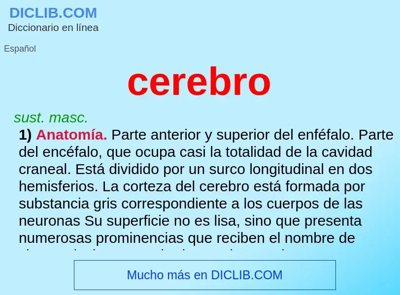 Wat is cerebro - definition