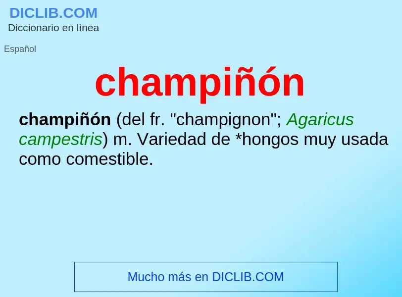 What is champiñón - meaning and definition