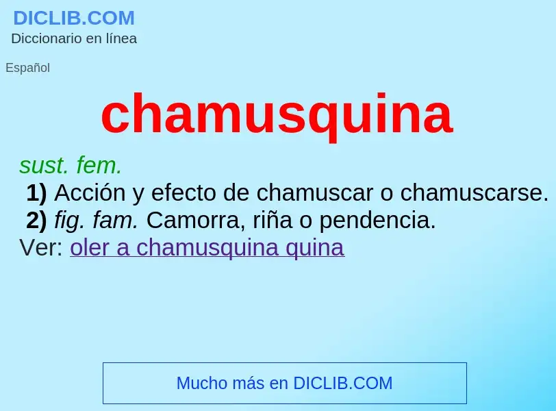 Was ist chamusquina - Definition