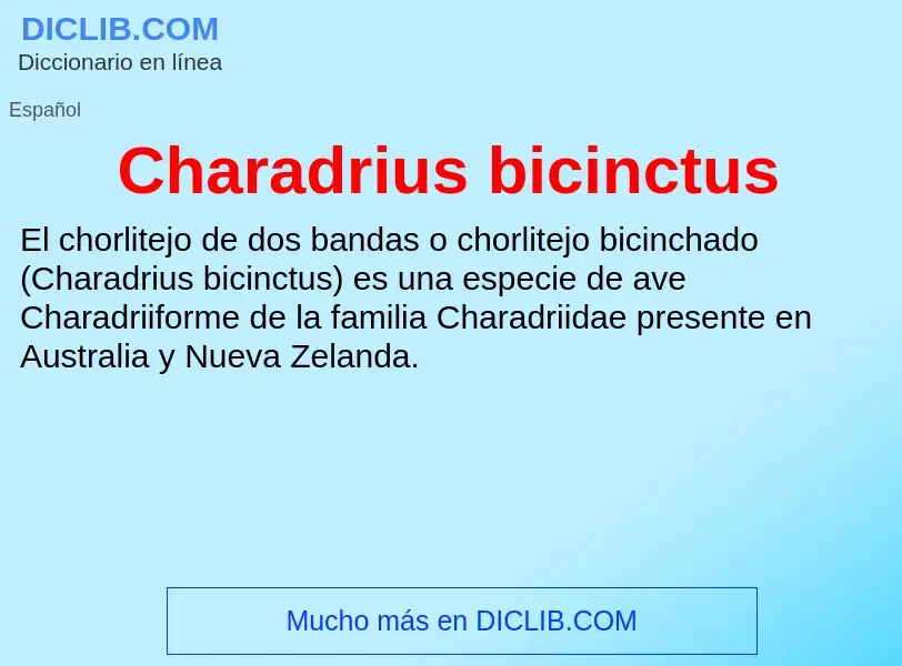 O que é Charadrius bicinctus - definição, significado, conceito