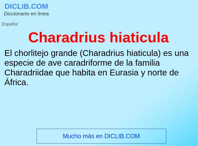 O que é Charadrius hiaticula - definição, significado, conceito