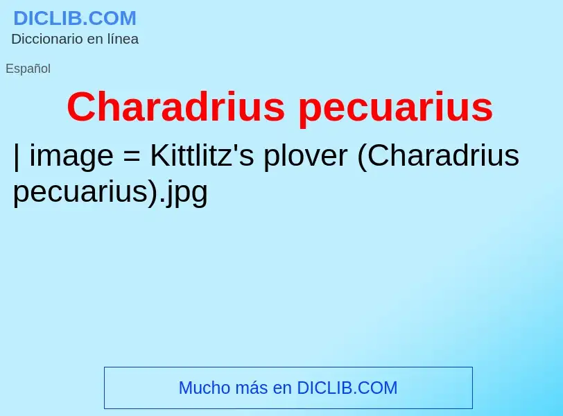 Τι είναι Charadrius pecuarius - ορισμός