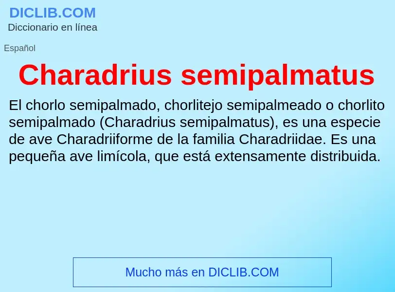 Что такое Charadrius semipalmatus - определение